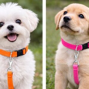 Matching Dog Collar and Leash Set – 2 Sets for $15